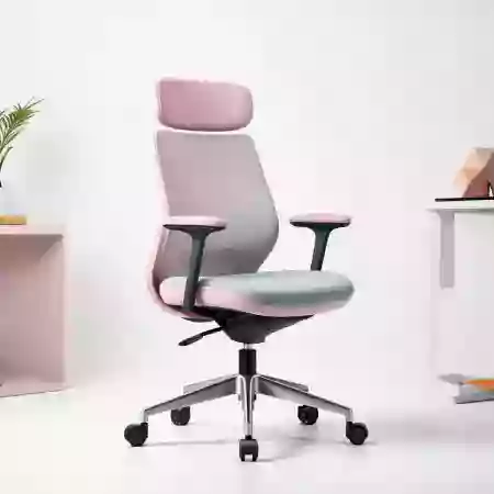 Premium Ergonomic Chair