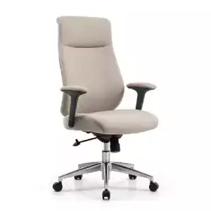 Professional Chair