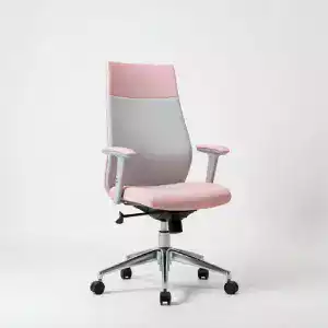 Luxury Executive Chair