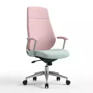 Office Ergonomic Chair